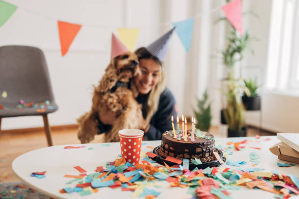 istock Dog's birthday 1316216928