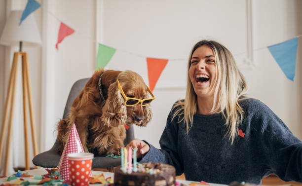istock Dog's birthday celebration 1316217104