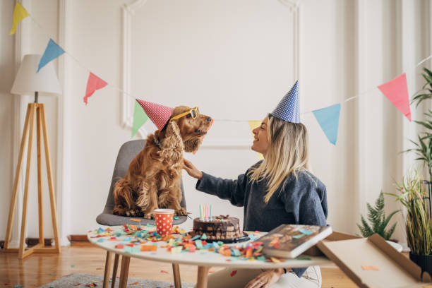 istock Dog's birthday celebration 1316217495