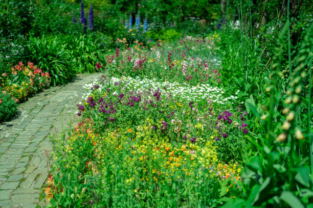 istock Ocean view and flowers at Atami 1316218899