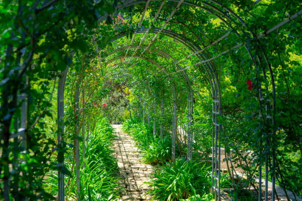 istock Ocean view and flowers at Atami 1316219067
