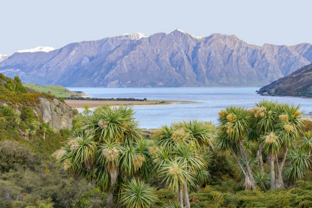 istock Lake Hawea in New Zealand 1316219562