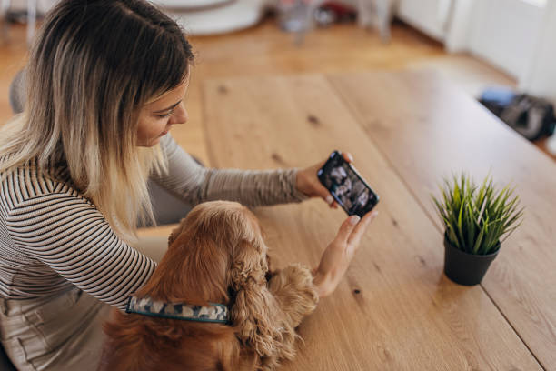 istock Woman with dog using phone 1316221333