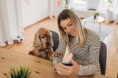 frau-mit-hund-mit-telefon.jpg?b=1&s=170x170&k=20&c=xQI53VP4kuh5MkYzo-toS2HGlEdw0Qmg8vmYAtBRwA0=