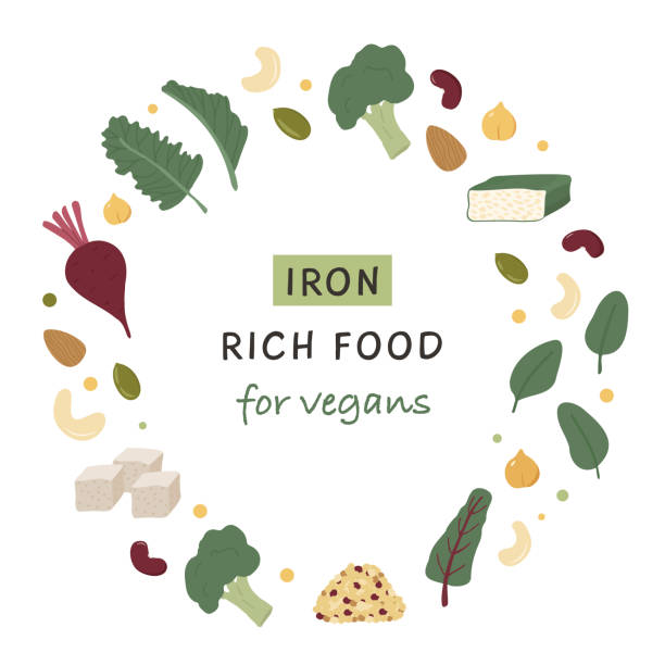 ilustrações, clipart, desenhos animados e ícones de coleção de fontes de alimentos ricos em ferro para veganos. beterraba, tempeh, couve, quinoa, brócolis, tofu, leguminosa, nozes. produto dietético, nutrição natural orgânica para dieta vegeteriana. círculo infográfico vetorial. - vegeterian food