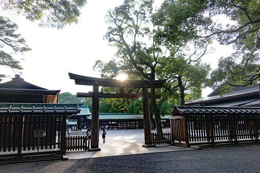 Tokio, Japan - July 27, 2012: Meiji Shrine in Tokyo, Japan. Torii of Meiji Jingu Shrine in Central Tokyo (Shibuya), Japan. Meiji Jingu Shrin is the Shinto shrine and most popular historical shrine.