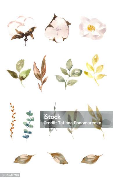 Bunga Ranting Elemen Ilustrasi Cat Air Satu Set Elemen Tanaman Herbal Ranting Dan Bunga ...