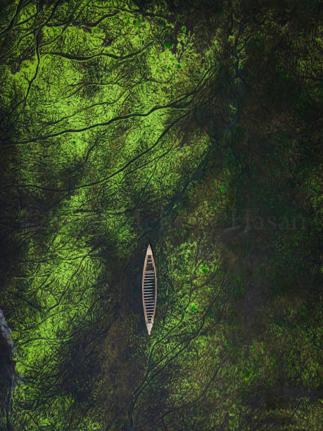 istock Drone view of a boat in a river 1316235770