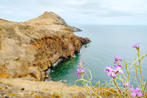 View over the cliffs at Ponta de São Lourenço peninsula at the eastern side of Madeira island during an overcast summer day. The cliffs are rising up from the Atlantic Ocean.