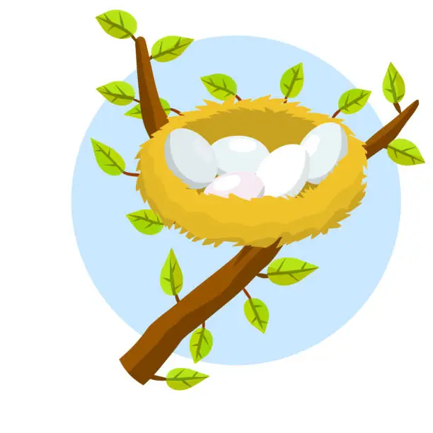 Vector illustration of Nest and egg. Bird house. Place for Chicks. Tree branch with leaves.