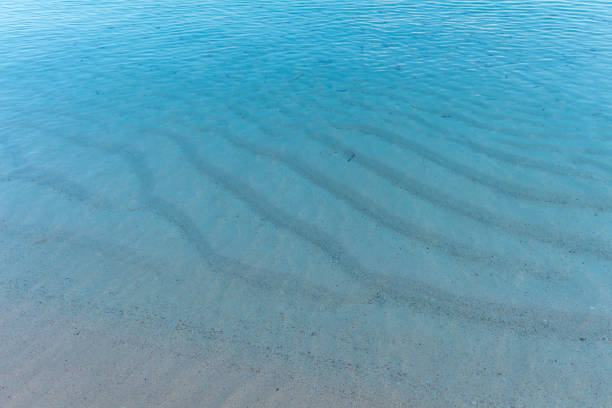 istock Seashore before the storm in the morning 1316240577