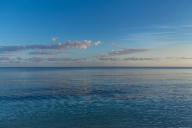 istock Seashore before the storm in the morning 1316240609