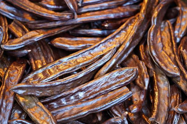 乾燥キャロブまたはイナゴのビーンフルーツ。 - carob bean ストックフォトと画像