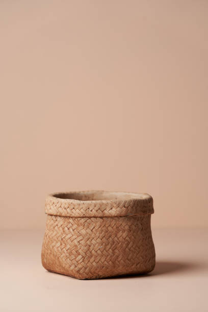 istock Ceramic flower pot on pastel color background 1316242607