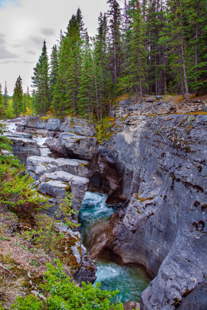 istock Powerful waterfall in a picturesque gorge 1316242808