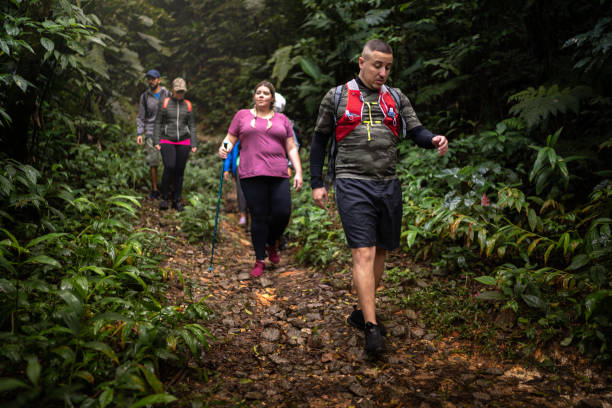 istock Group of people hiking in a forest 1316243223