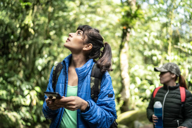 istock Women using smartphone in a forest during hiking 1316243246
