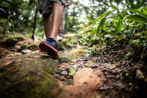 istock Low section of someone hiking 1316243705