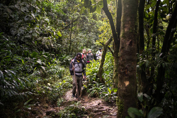 istock Group of people hiking in a forest 1316243981