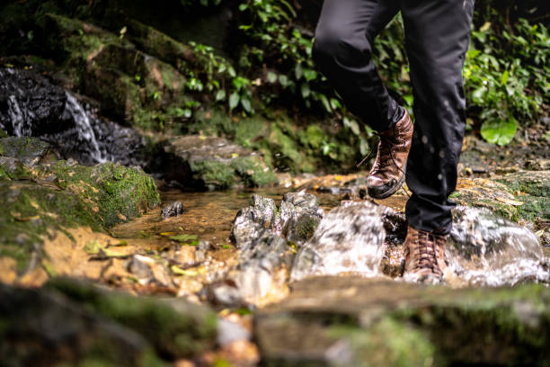 istock Low section of someone hiking 1316244315