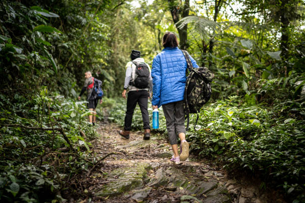 istock Rear view of a group pf people hiking in a forest 1316244332