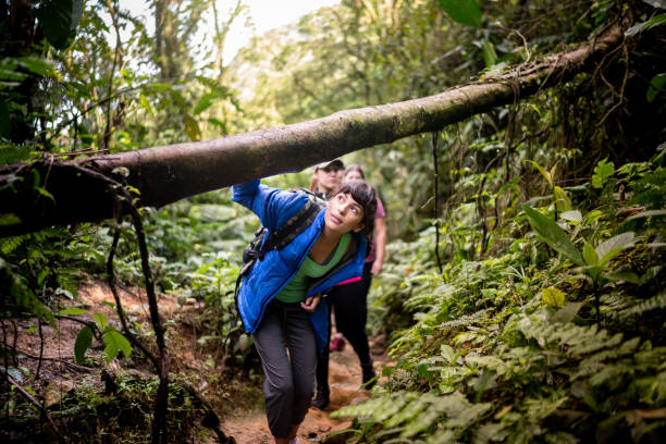 istock Woman passing under a tree trunk during hiking 1316244346