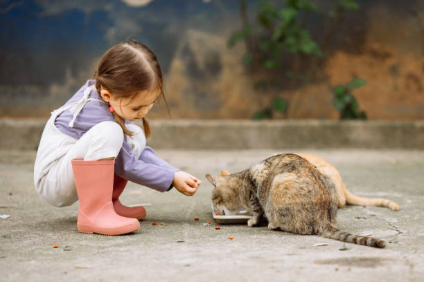 istock Child playing with cat at backyard. Kids and pets. 1316244667