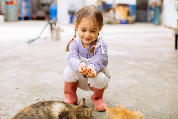 istock Child playing with cat at backyard. Kids and pets. 1316244729