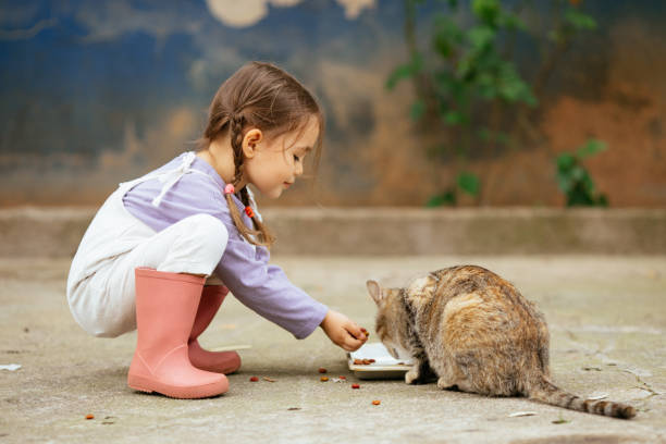 istock Child playing with cat at backyard. Kids and pets. 1316244770
