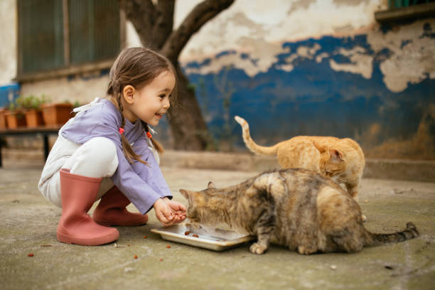 istock Child playing with cat at backyard. Kids and pets. 1316245358