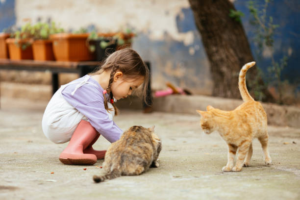 istock Child playing with cat at backyard. Kids and pets. 1316245477