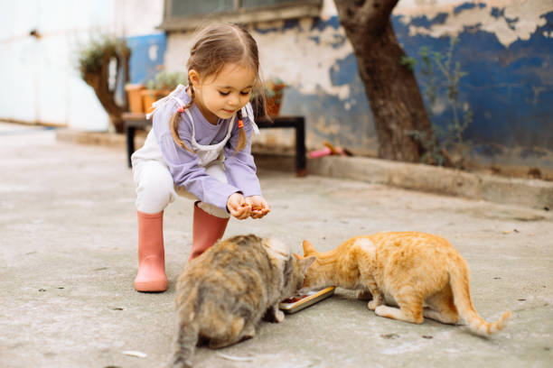 istock Child playing with cat at backyard. Kids and pets. 1316245541