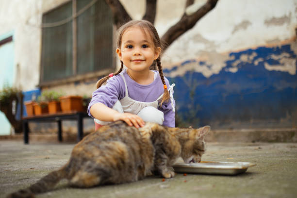 istock Child playing with cat at backyard. Kids and pets. 1316245620
