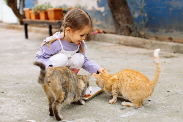 istock Child playing with cat at backyard. Kids and pets. 1316245787