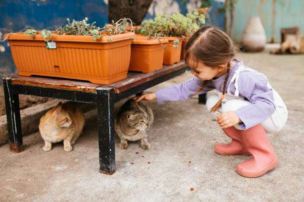 istock Child playing with cat at backyard. Kids and pets. 1316245861