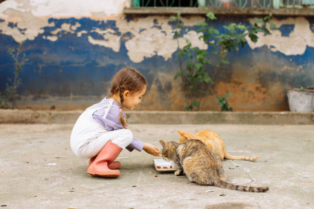 istock Child playing with cat at backyard. Kids and pets. 1316245898