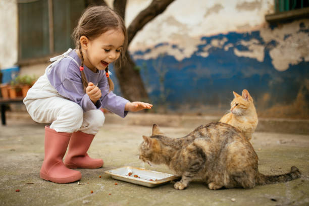 istock Child playing with cat at backyard. Kids and pets. 1316245979