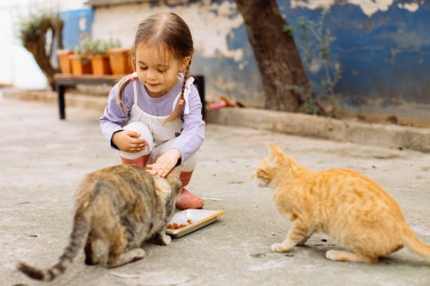 istock Child playing with cat at backyard. Kids and pets. 1316246042