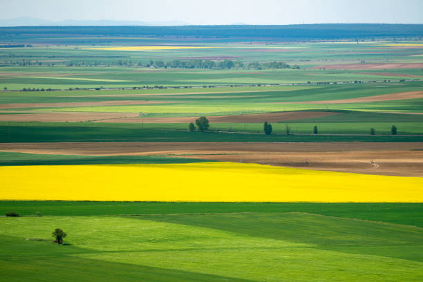 Aerial photo of a fertile cultivated field in bloom during spring season Aerial photo of a fertile cultivated field in bloom during spring season cultivated land photos stock pictures, royalty-free photos & images