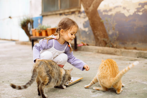 istock Child playing with cat at backyard. Kids and pets. 1316246387