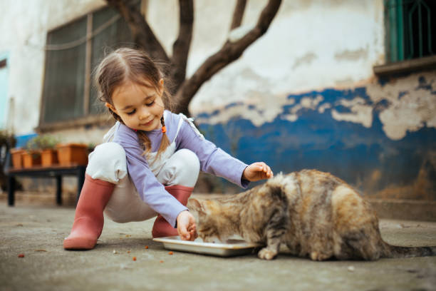 istock Child playing with cat at backyard. Kids and pets. 1316246549