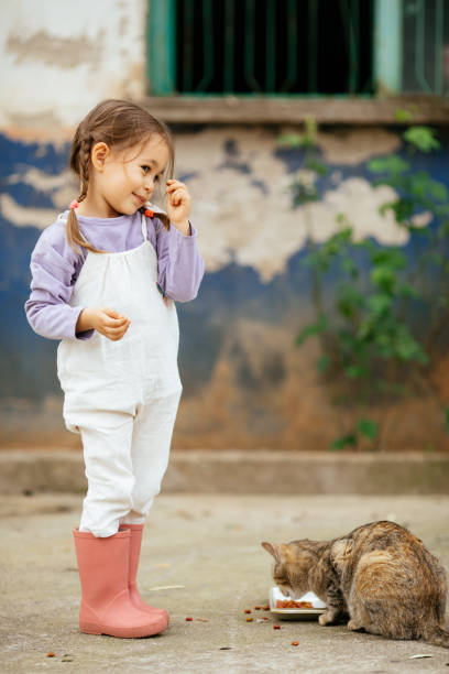 istock Child playing with cat at backyard. Kids and pets. 1316247113