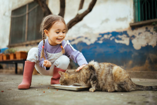 istock Child playing with cat at backyard. Kids and pets. 1316247191