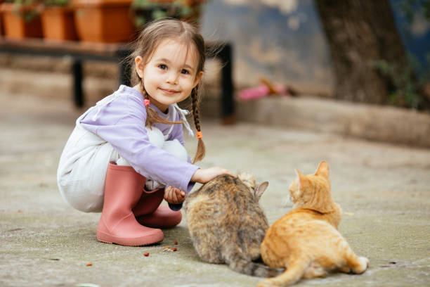 istock Child playing with cat at backyard. Kids and pets. 1316247380