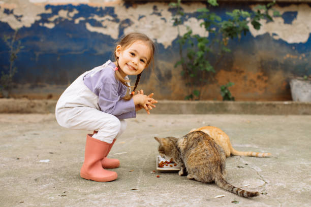 istock Child playing with cat at backyard. Kids and pets. 1316247604