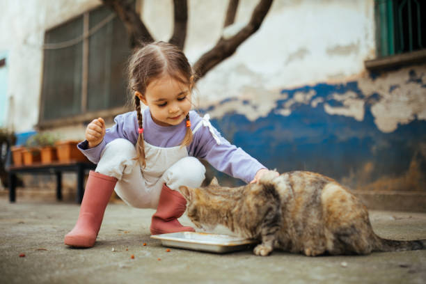 istock Child playing with cat at backyard. Kids and pets. 1316247662