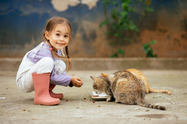 istock Child playing with cat at backyard. Kids and pets. 1316247722