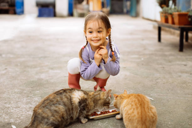istock Child playing with cat at backyard. Kids and pets. 1316247762