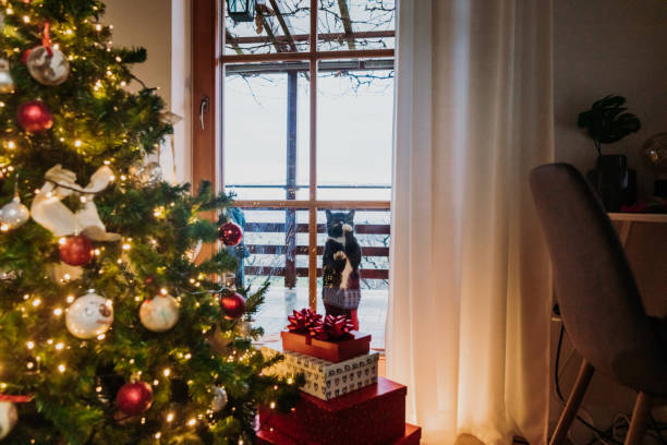 Holidays Indoors in Western Colorado Christmas tree with many wrapped gifts underneath part of series of three (Shot with iPhone 7 Plus 12mp 4032 × 3024 photos professionally retouched - Lightroom / Photoshop)