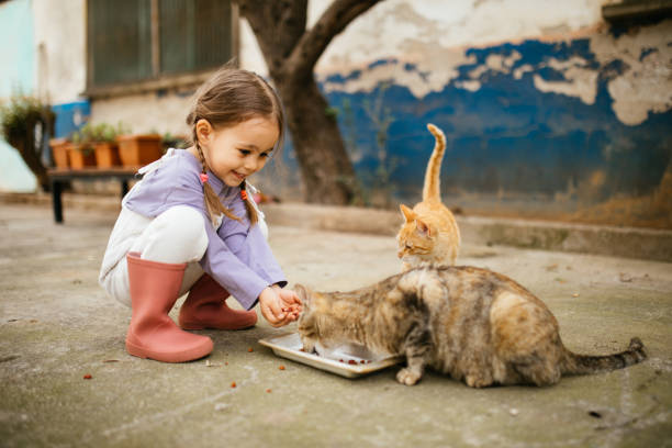 istock Child playing with cat at backyard. Kids and pets. 1316247870